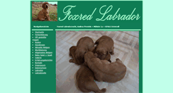 Desktop Screenshot of foxred-labrador.com