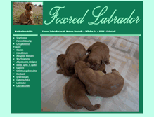 Tablet Screenshot of foxred-labrador.com